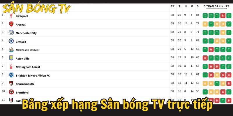sân bóng tv