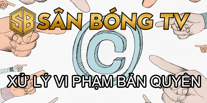 bản quyền sân bóng tv