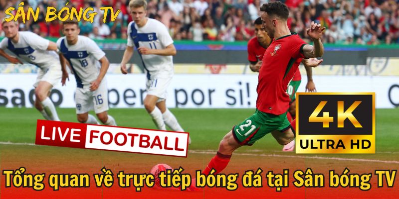 trực tiếp bóng đá